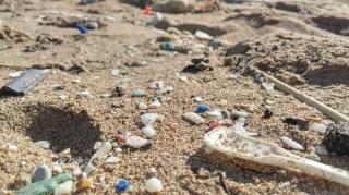 海邊廢棄物什麼最多？ 寶特瓶是冠軍