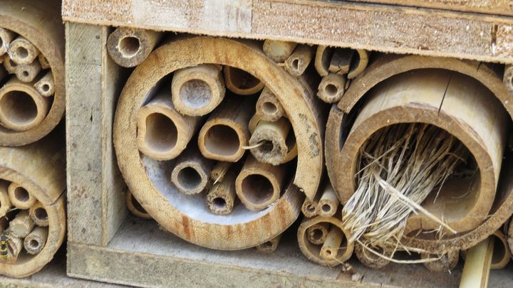 在田間打造一座「昆蟲旅館」 (Insect hotel)，只需用木板頂格櫃，在格檷中塞進竹筒、鑽孔洞木頭，就可DIY組裝。記者張弘昌／攝影